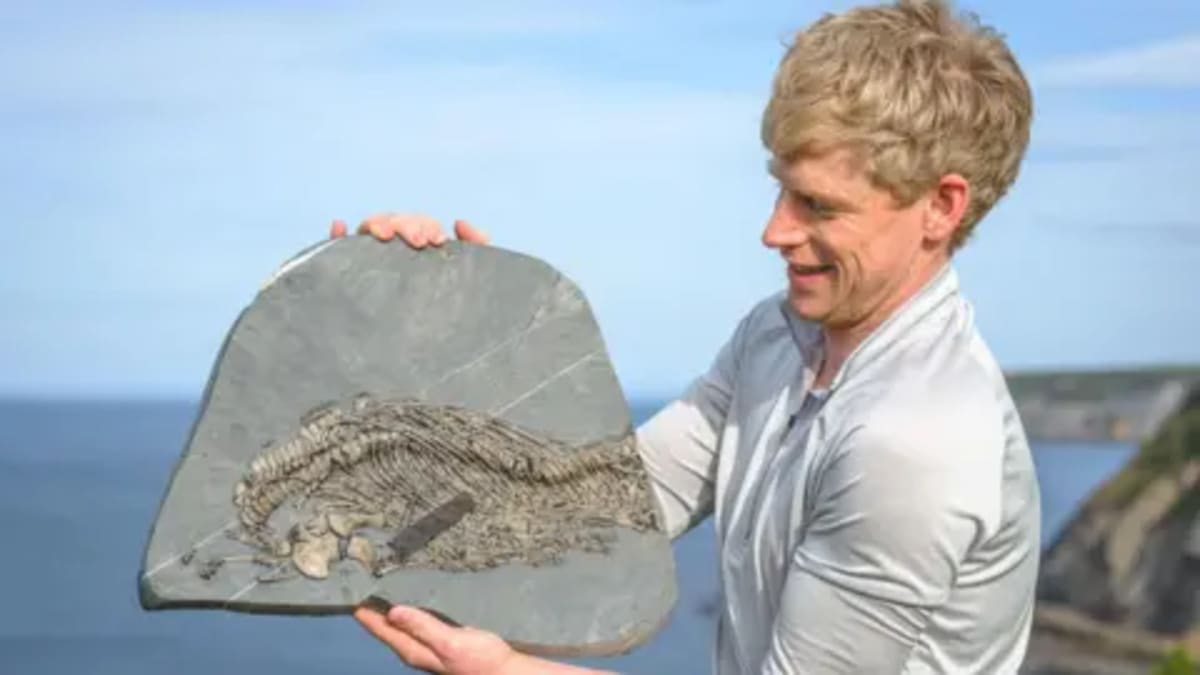 Avalanche Survivor Finds Rare 'Sea Dragon' Fossil in Wales - Image 2