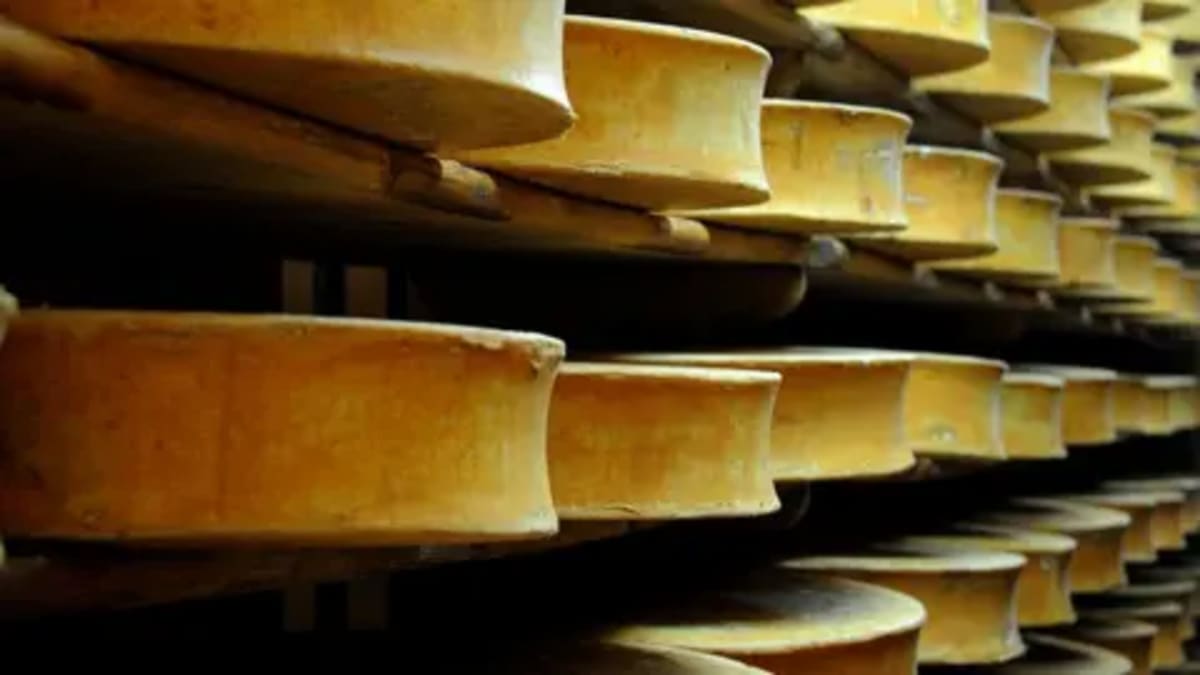 France Bends Cheese Rules to Help Drought-Hit Farmers - Image 2