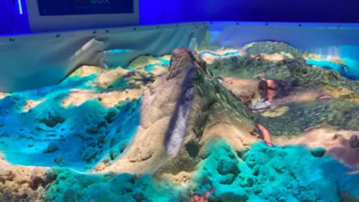UK Wildlife Park Opens Interactive Conservation Hub for Kids - Image 2