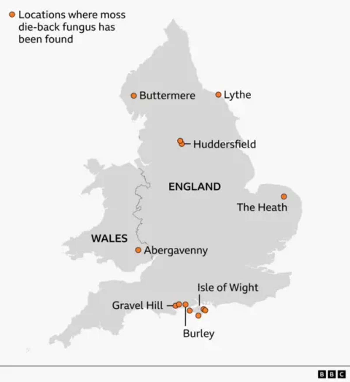 New Fungus in UK Kills Invasive Moss, Restores Habitats - Image 5