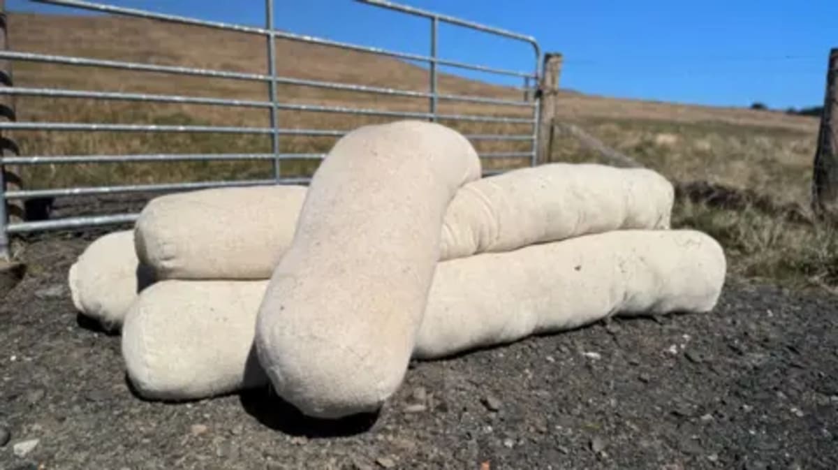 NI Sheep Farmers Turn Waste Wool Into Peatland Savior - Image 4
