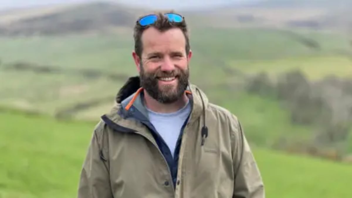 Isle of Man Plants 30,000 Trees to Restore Lost Rainforest - Image 3
