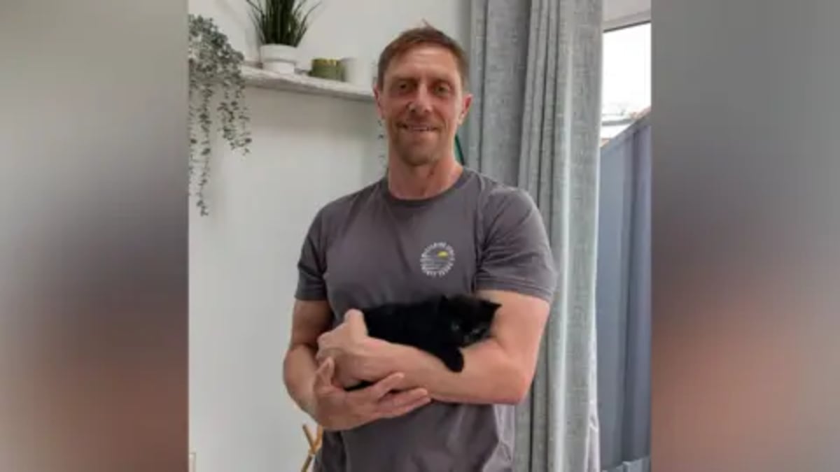 Firefighter Adopts Kitten He Rescued From Car Engine - Image 2