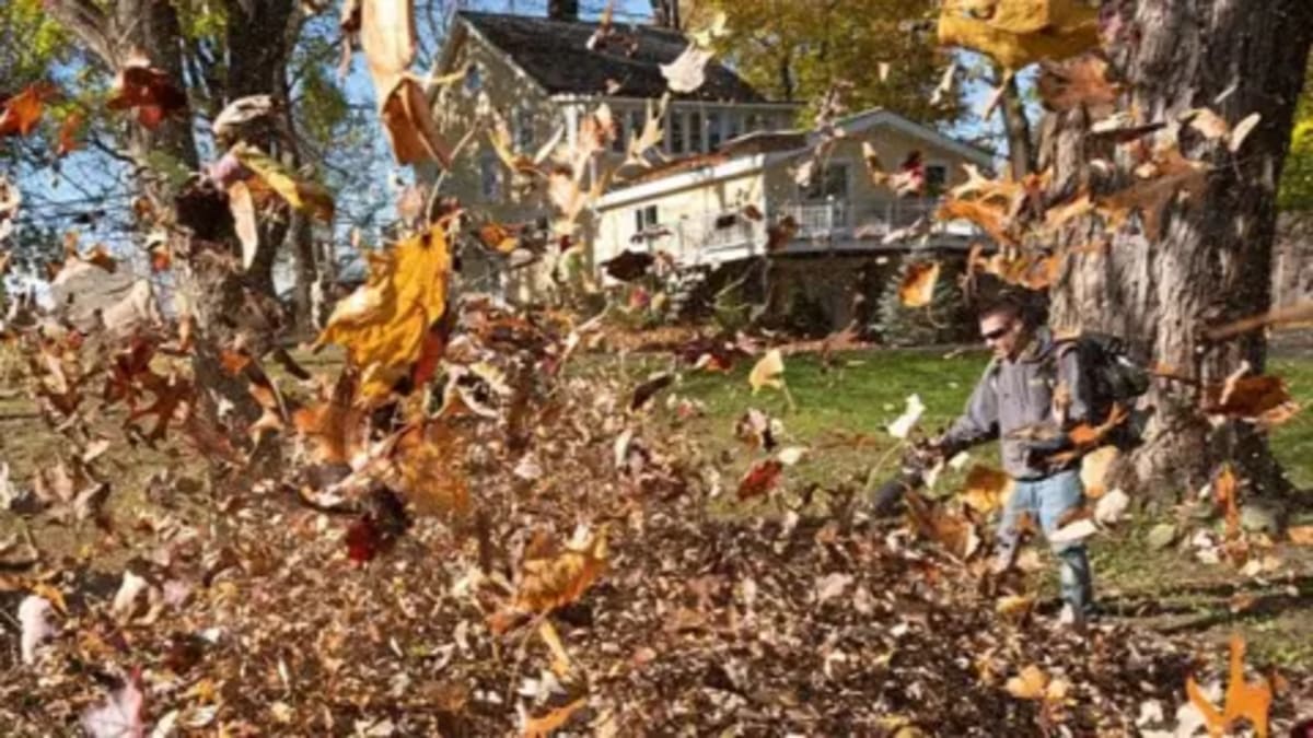 California Landscapers Go Electric for Quieter Neighborhoods - Image 2