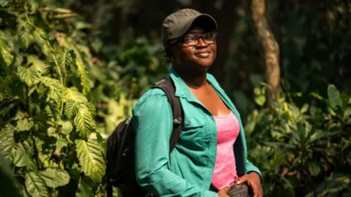 Nigerian Scientist Wins Global Prize Saving Shunned Bats - Image 2