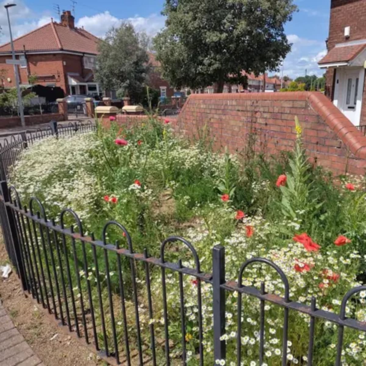 Hull Gives Residents 'Right to Grow' on Unused Public Land - Image 3