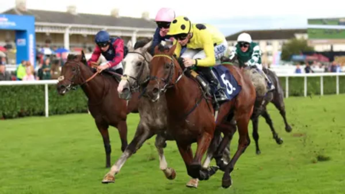 Jockey Donates £50K Prize to Help Homeless Find Jobs - Image 3