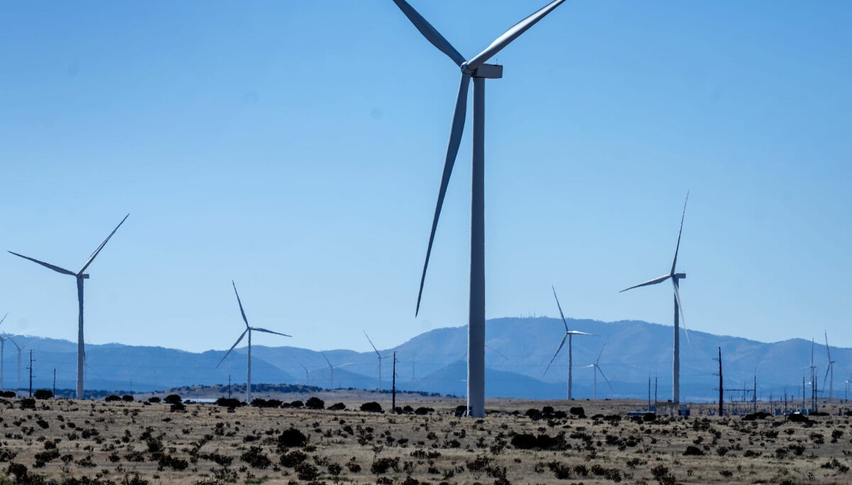 New Mexico's Clean Energy Thrives Despite Federal Cuts