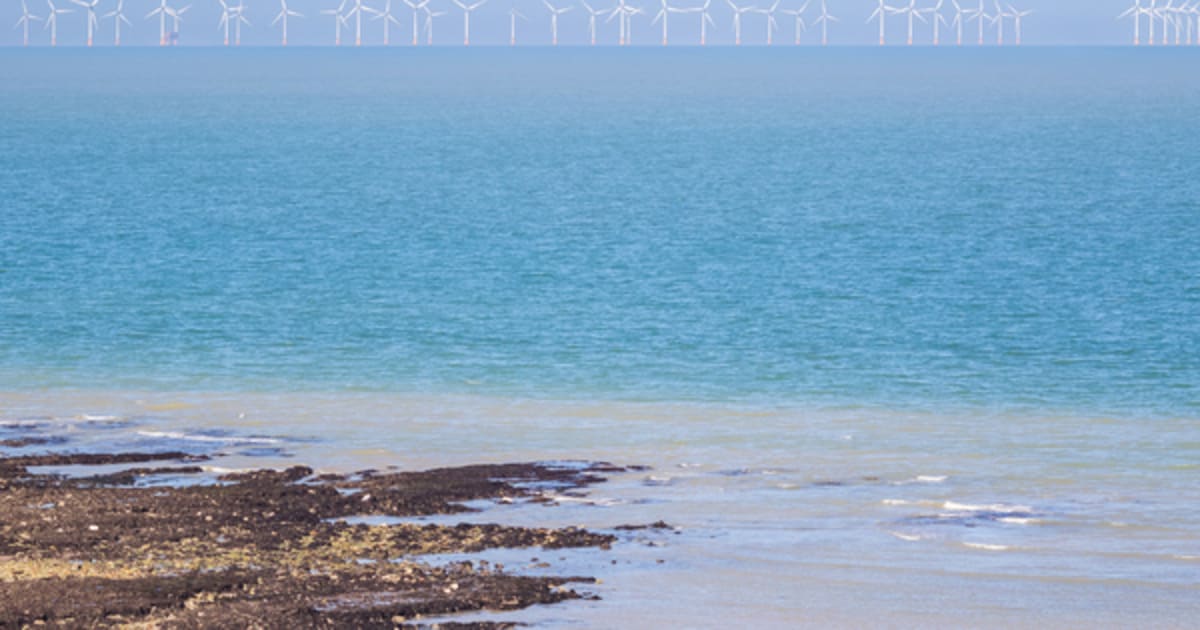 UK Wind Farms Power 23 Million Homes in Record Day - Image 2