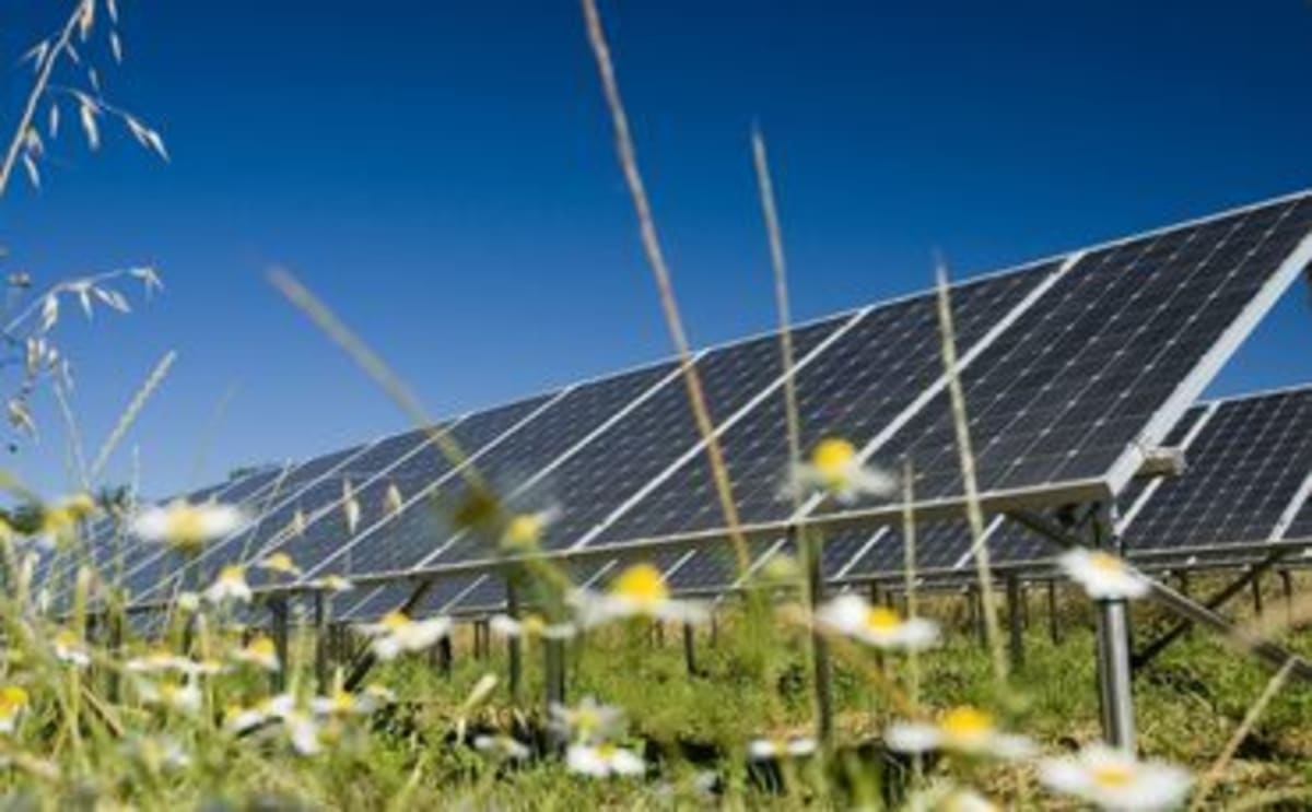 UK Approves 800MW Solar Farm, Its Largest Yet