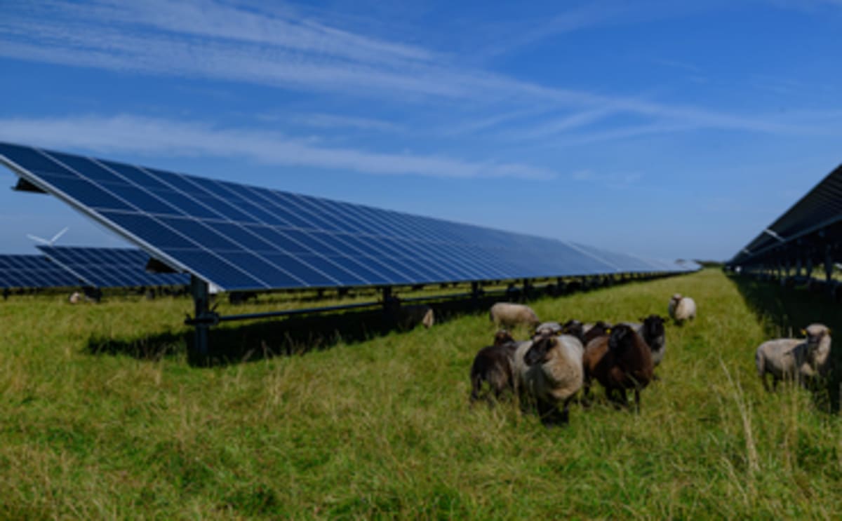 UK Gas Generation Hits Record Low as Solar Power Surges