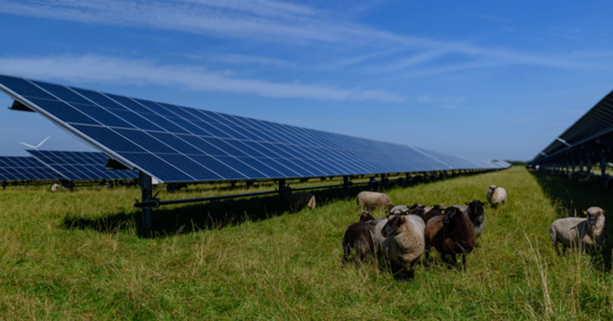 UK Gas Generation Hits Record Low as Solar Power Surges - Image 2