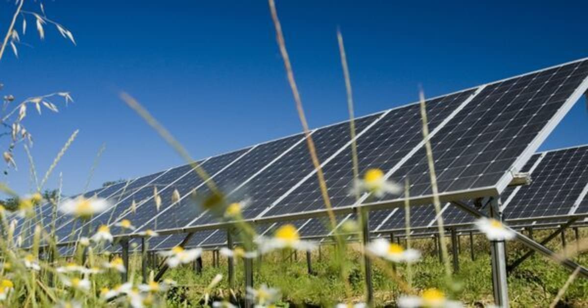 UK Approves 800MW Solar Farm, Its Largest Yet - Image 2