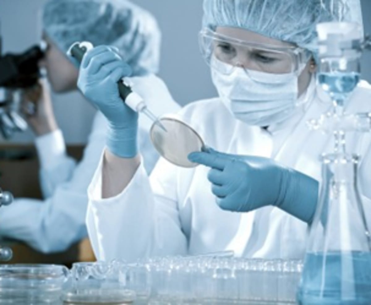 Scientists working in modern research laboratory with advanced technology equipment in South Korea