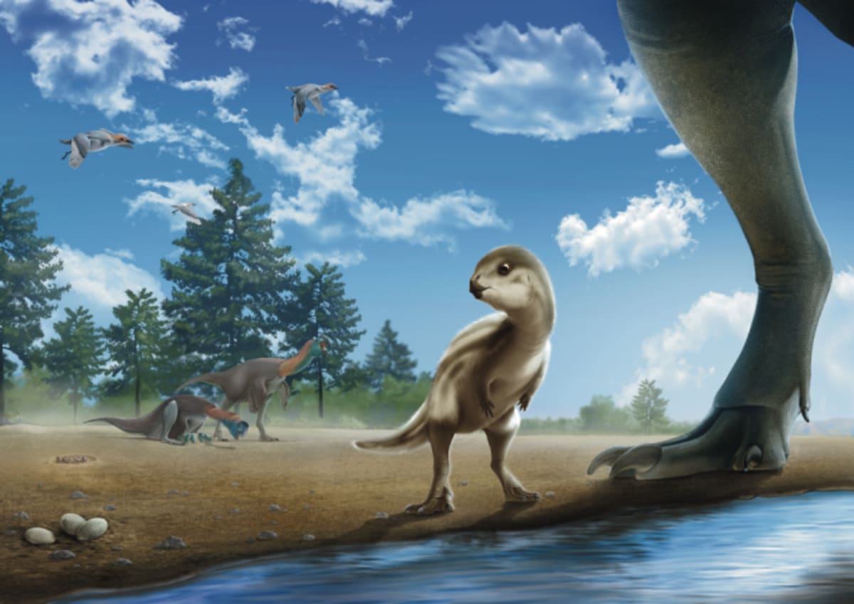 New Korean Dinosaur Discovery Unlocks Ancient Migration Mystery - Image 2