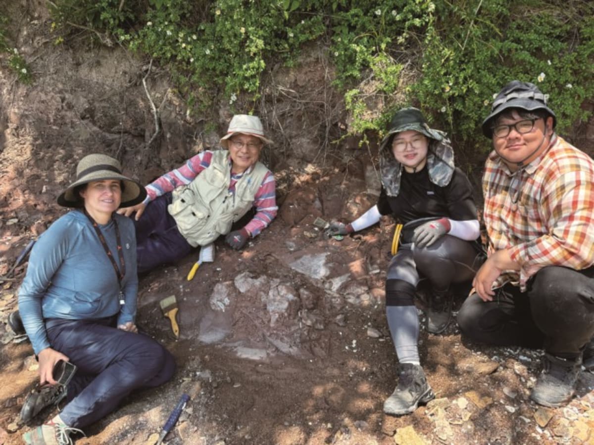 New Korean Dinosaur Discovery Unlocks Ancient Migration Mystery - Image 3