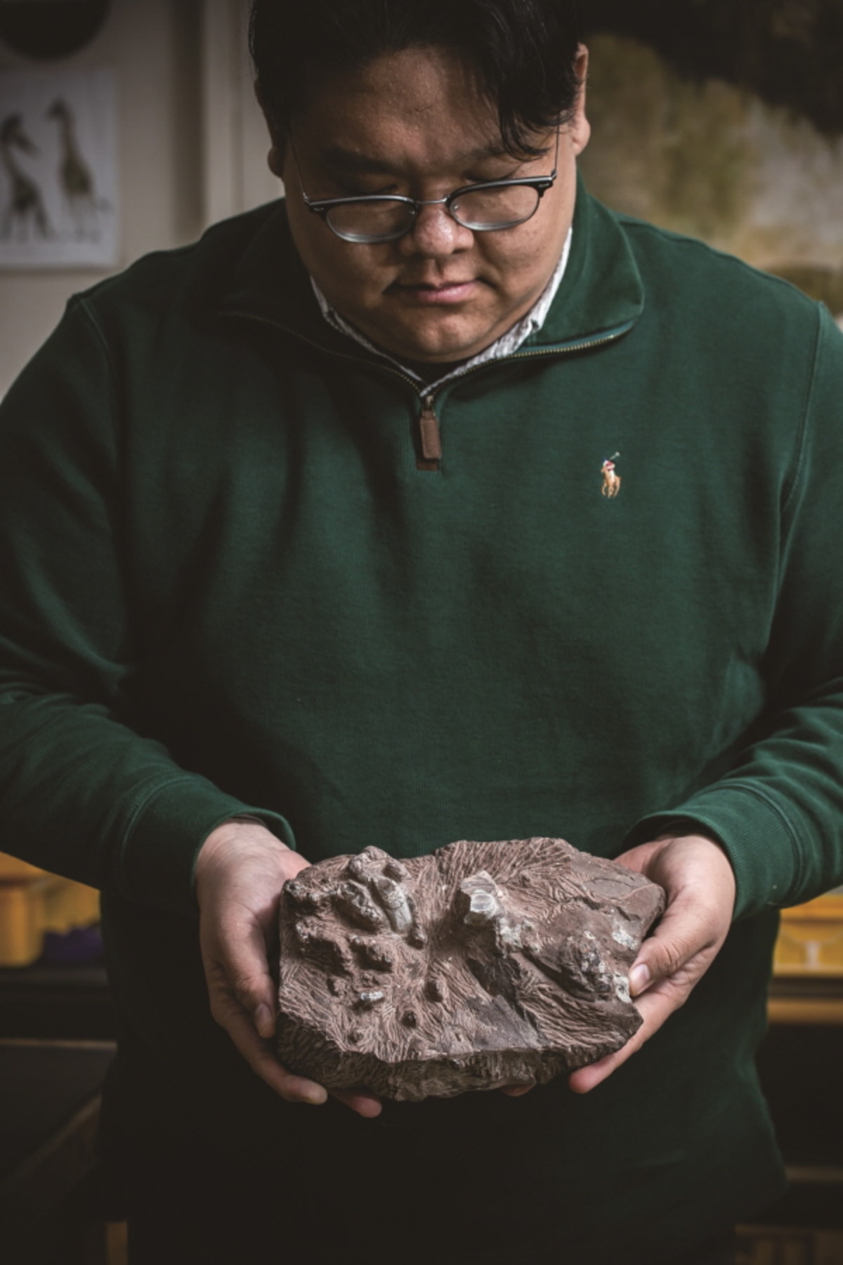 New Korean Dinosaur Discovery Unlocks Ancient Migration Mystery - Image 4