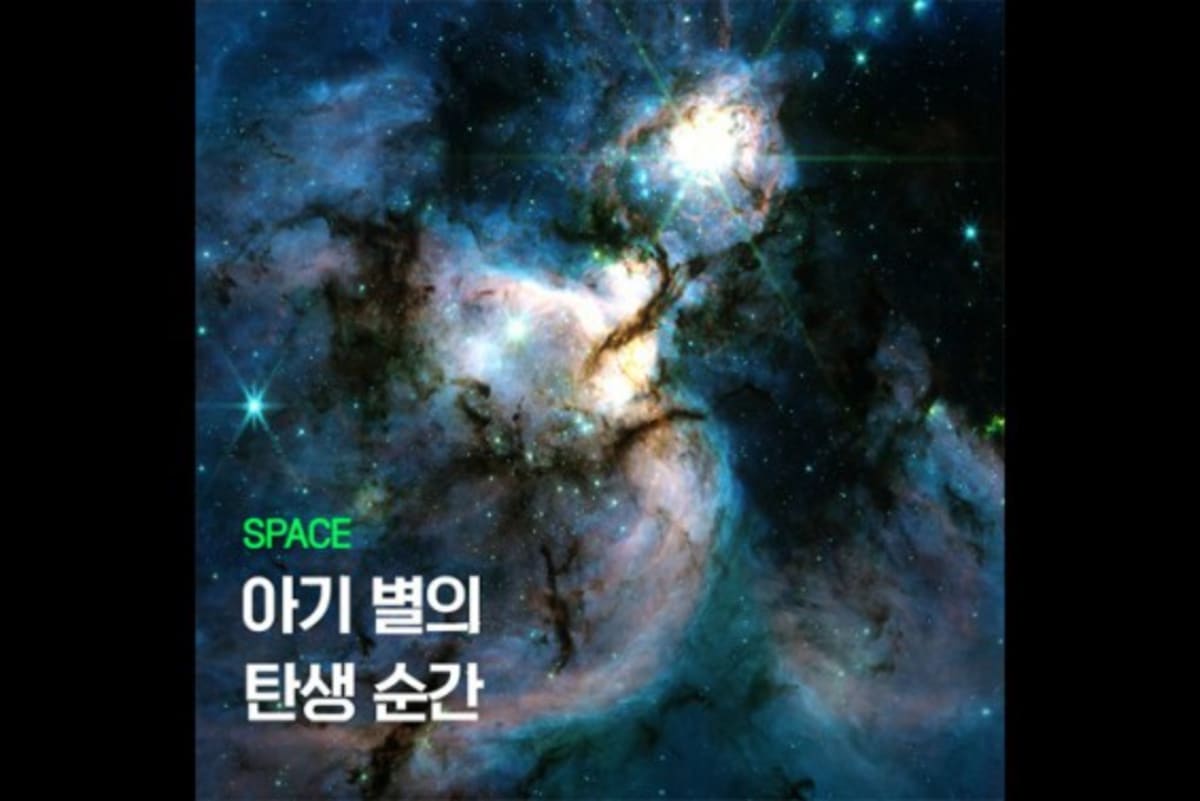 James Webb Telescope image showing thousands of glowing newborn stars in stellar nursery W51