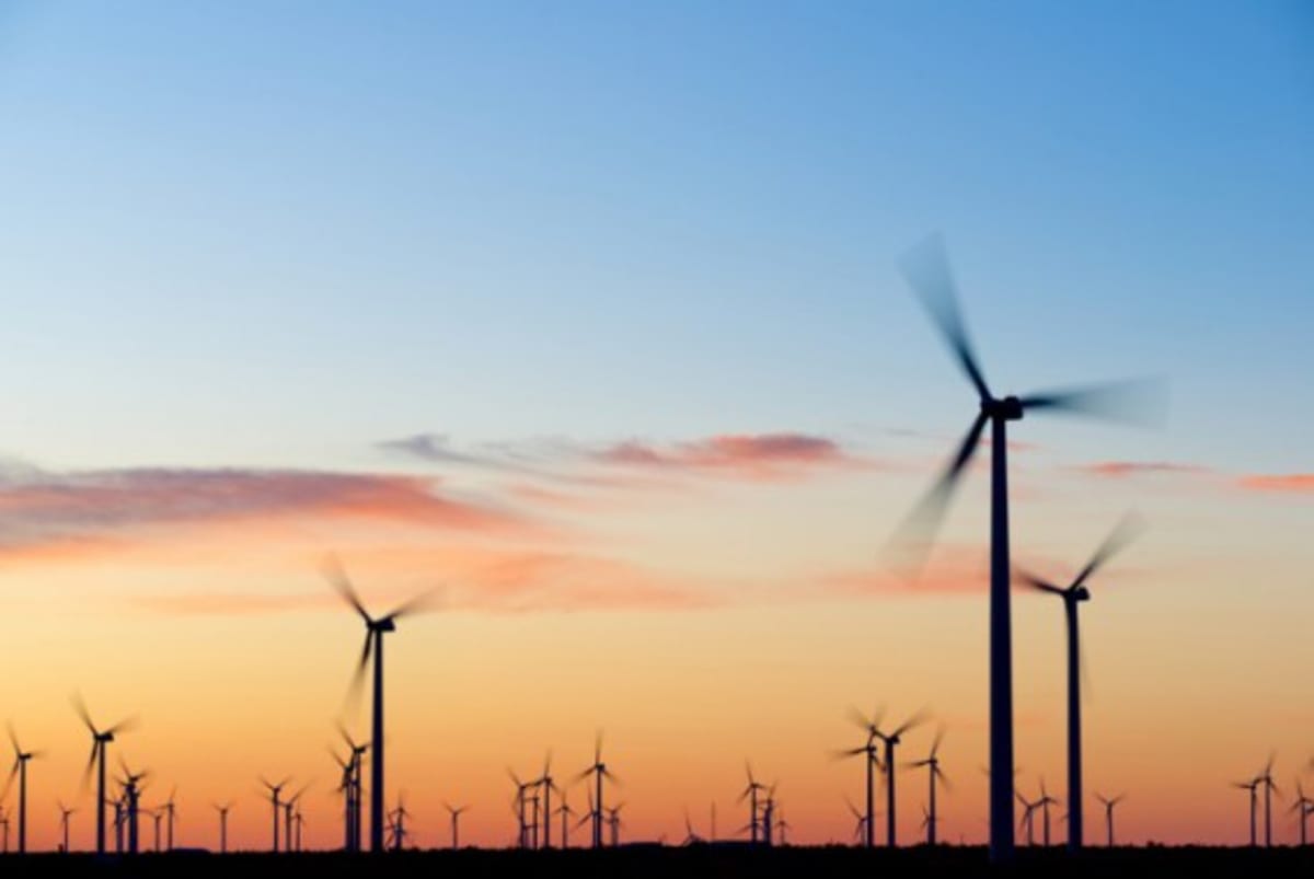 Renewable Energy Surpasses Coal for First Time Ever