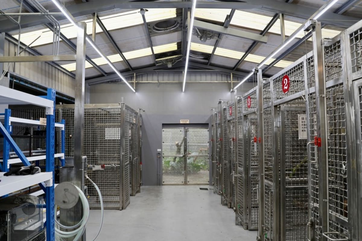 New Taipei Opens Wildlife Rescue Center as Calls Triple - Image 3