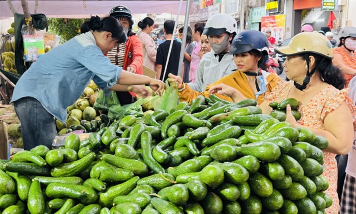 Vietnam and Poland Partner on Green Tech and Sustainability - Image 4