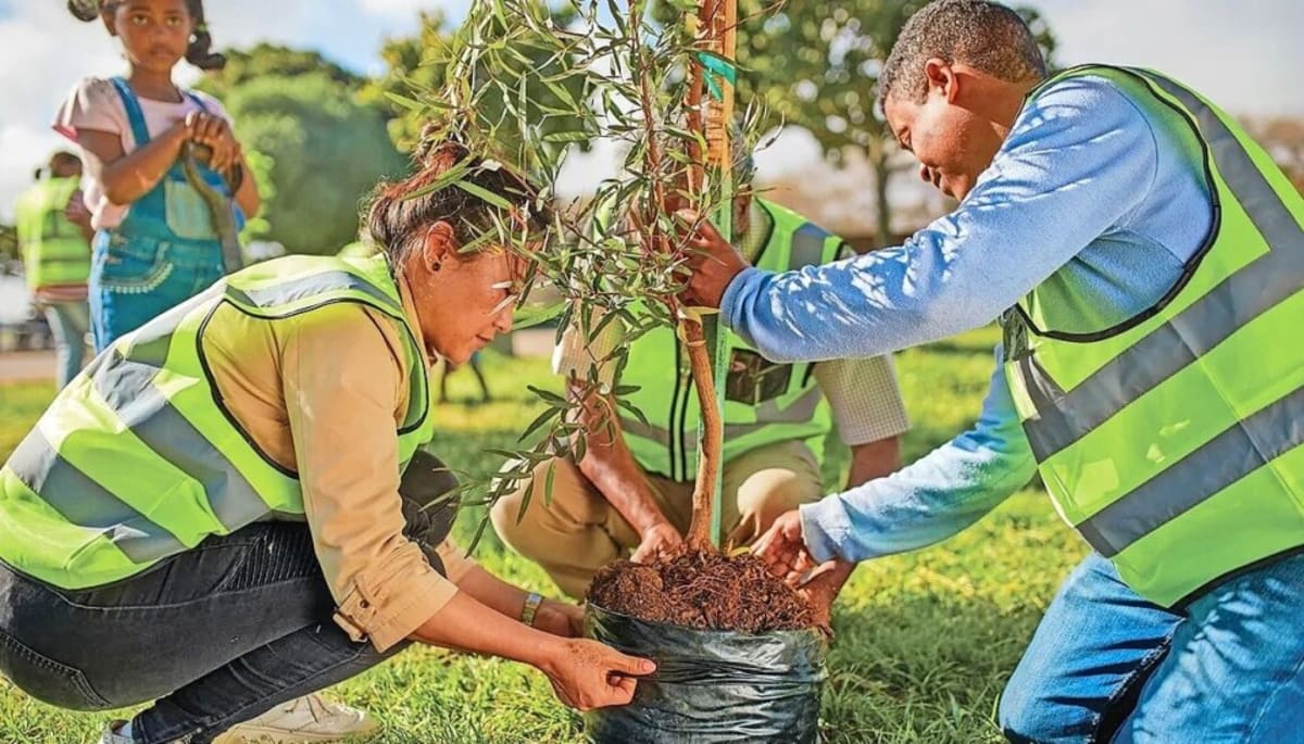 Coshocton Wins $1M to Plant 600 Trees, Needs Volunteers