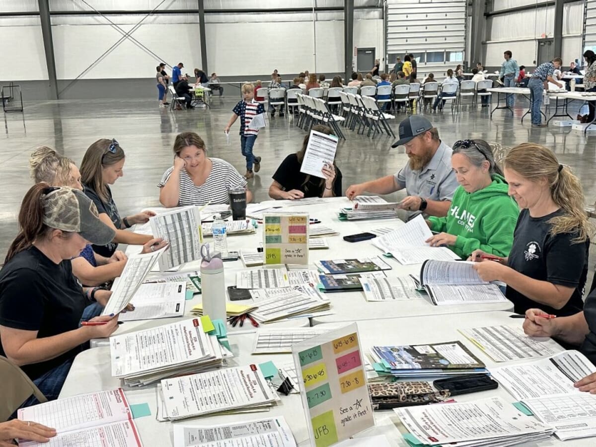 Ohio 4-H Volunteers Shape Future Leaders at County Fair - Image 2