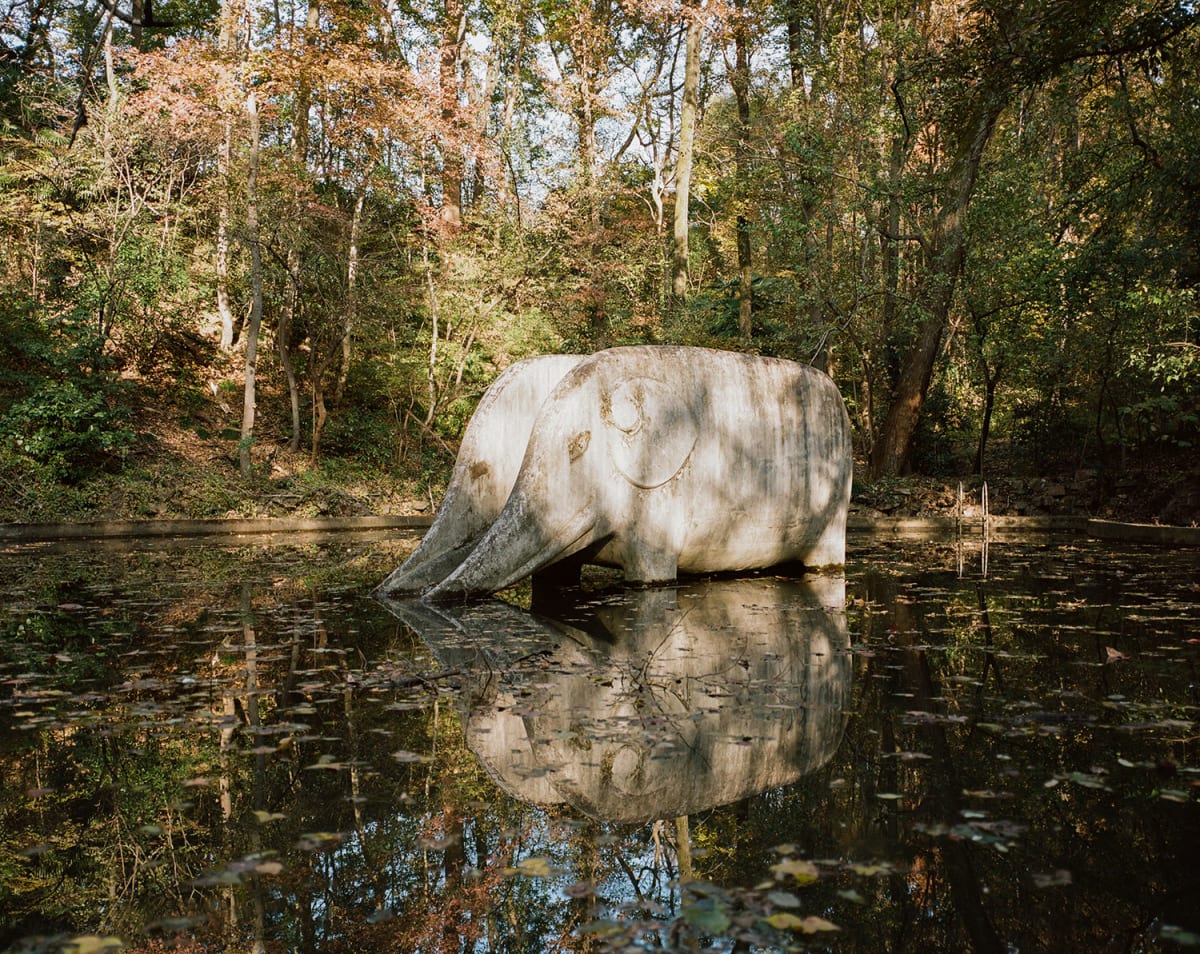 Photographer Documents China's 200 Vanishing Elephant Slides - Image 2