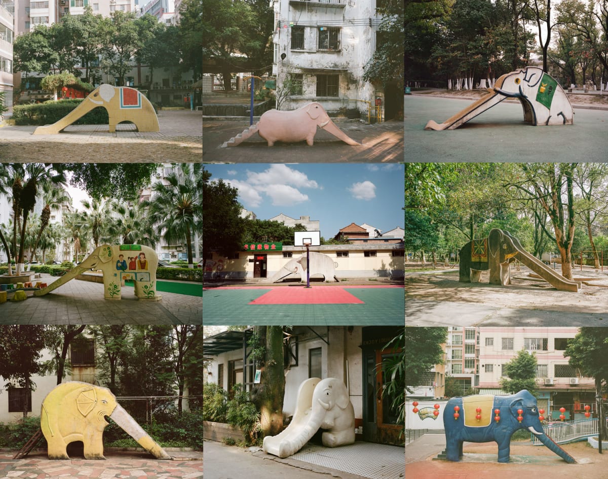 Photographer Documents China's 200 Vanishing Elephant Slides - Image 3