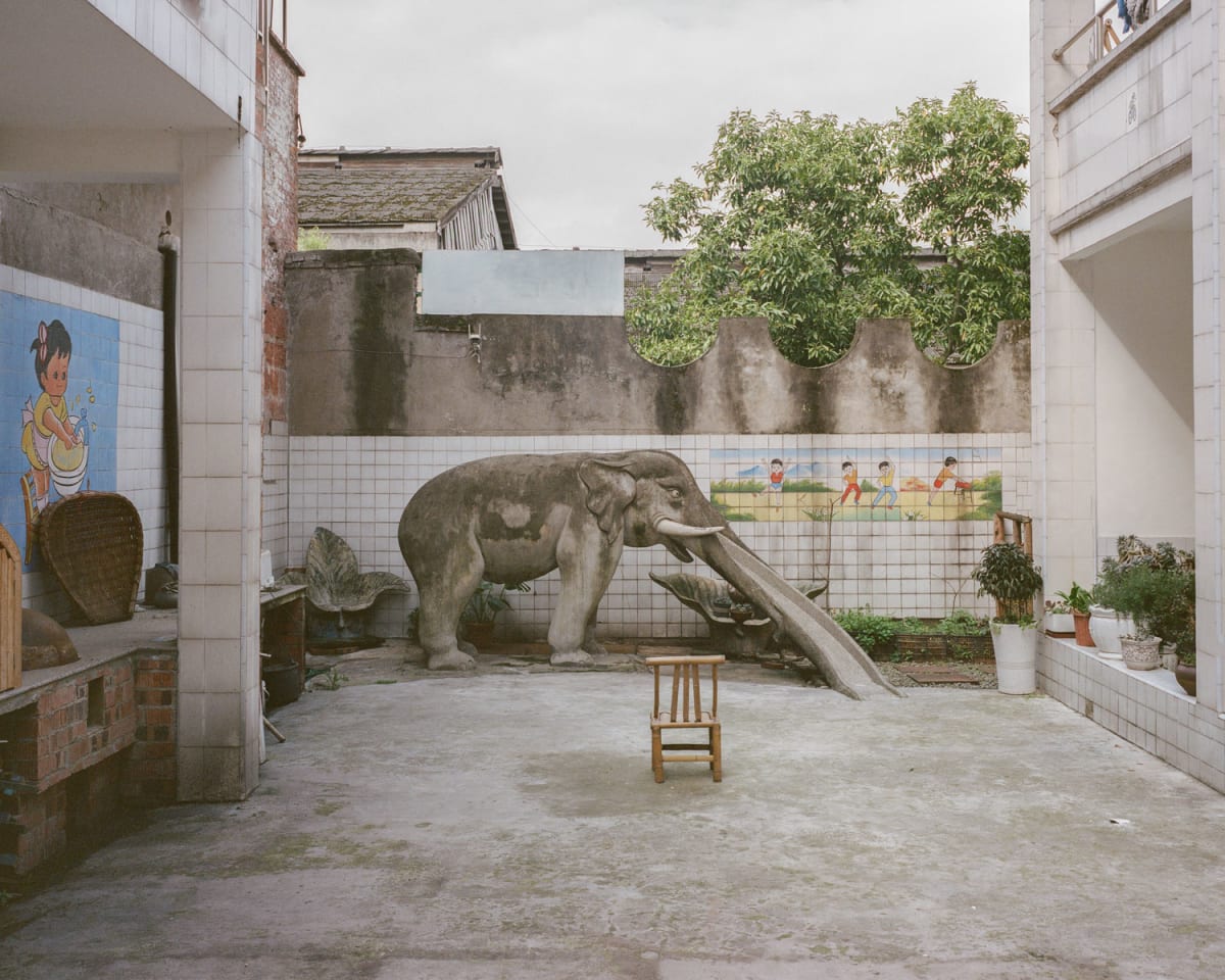 Photographer Documents China's 200 Vanishing Elephant Slides - Image 4
