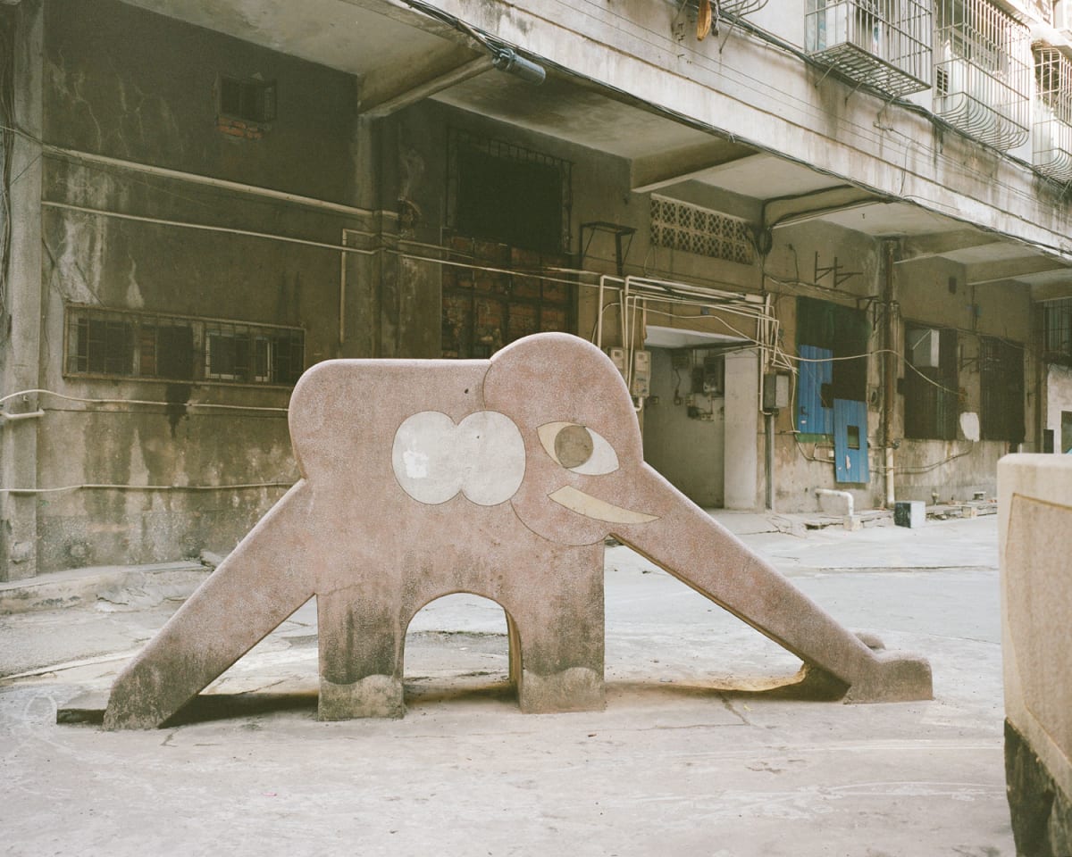 Photographer Documents China's 200 Vanishing Elephant Slides - Image 5