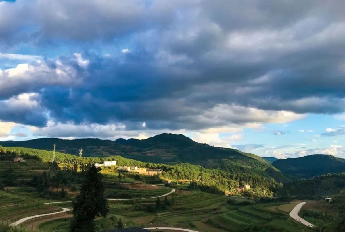 Yi Writer Finds Healing in Wild Childhood With Animals - Image 2