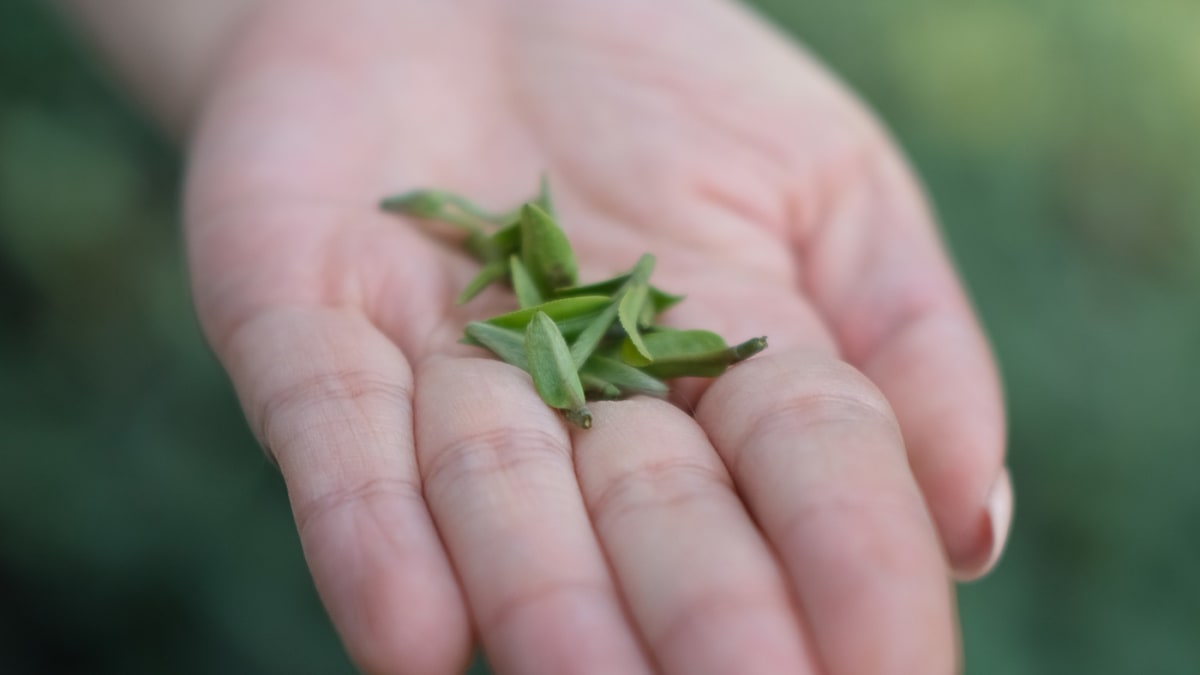 Shenzhen's Smart Food Banks Serve 500K Meals in 3 Years - Image 5