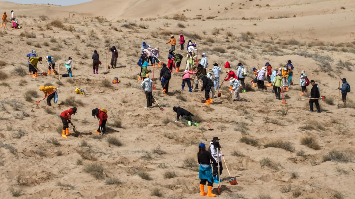 China Suspends Bus Fees After Tourist Sparks Policy Review - Image 5