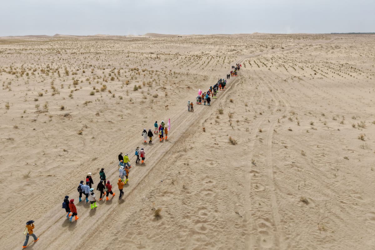30,000 Volunteers Plant Trees to Save Desert Town - Image 2