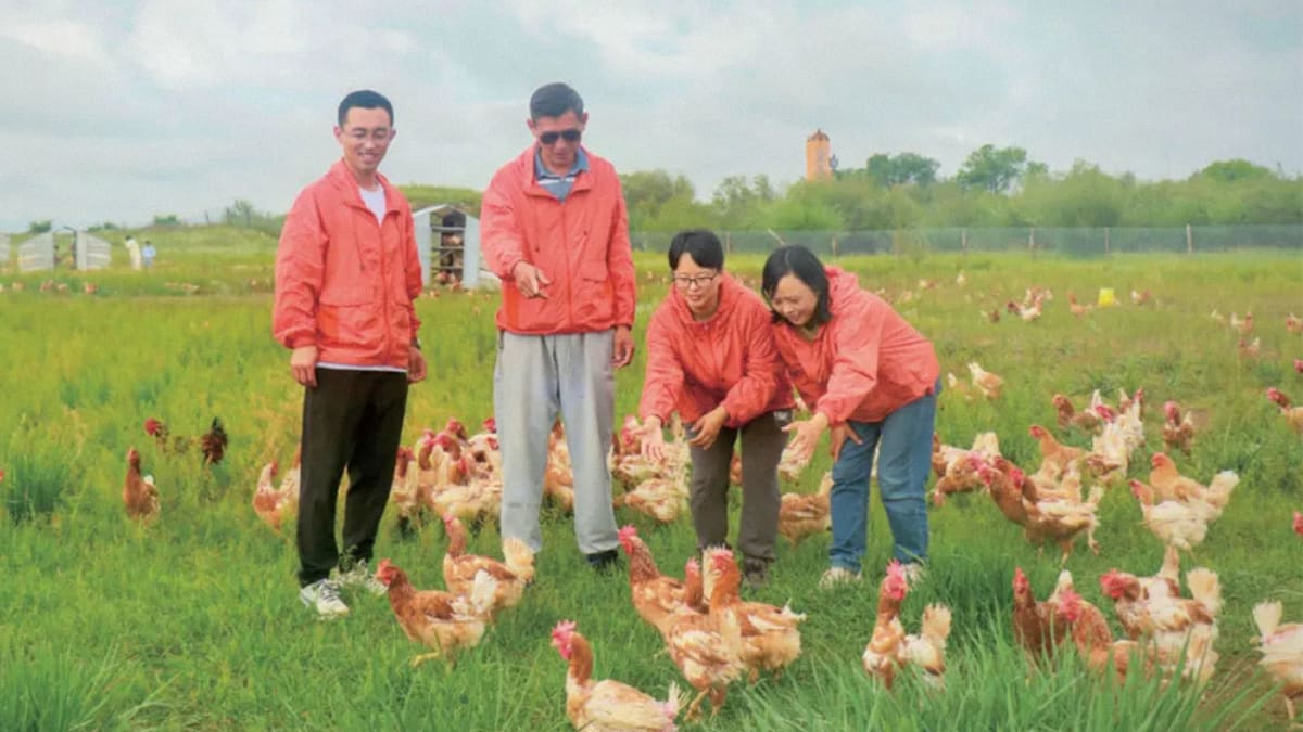 Old Coal Mine Now Cools 100 Homes in Chinese City - Image 3
