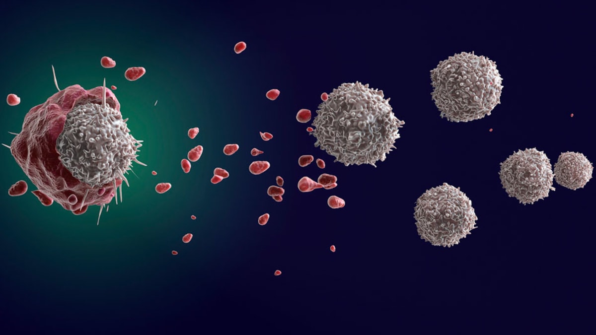 China Approves First Fatty Liver Drug for 200M Adults - Image 2