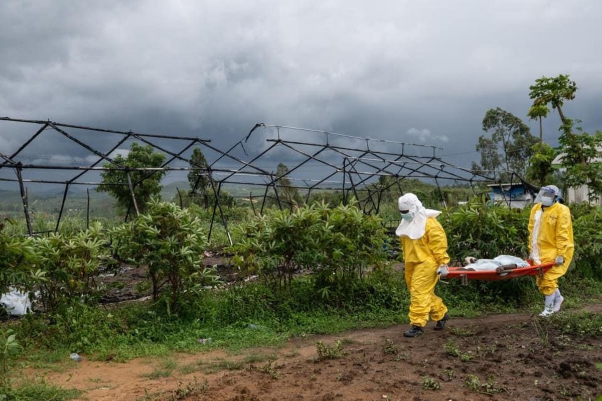 5 Ebola Patients Recover in Congo as WHO Scales Response - Image 4