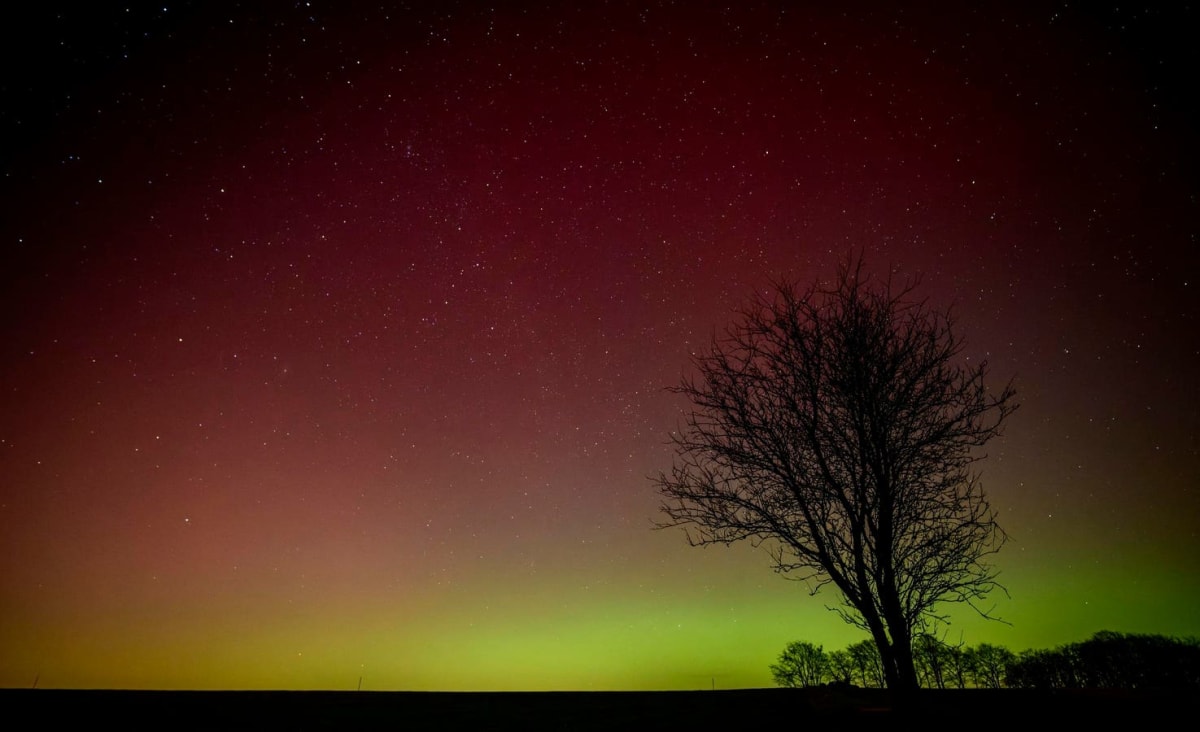 Green and purple aurora borealis dancing across dark night sky above northern landscape
