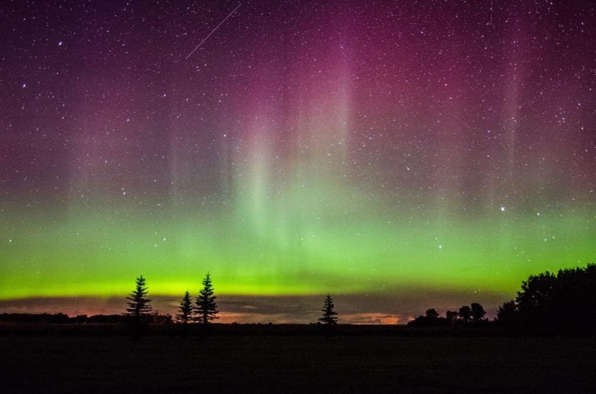 Green and pink northern lights aurora dancing across dark sky above silhouetted trees