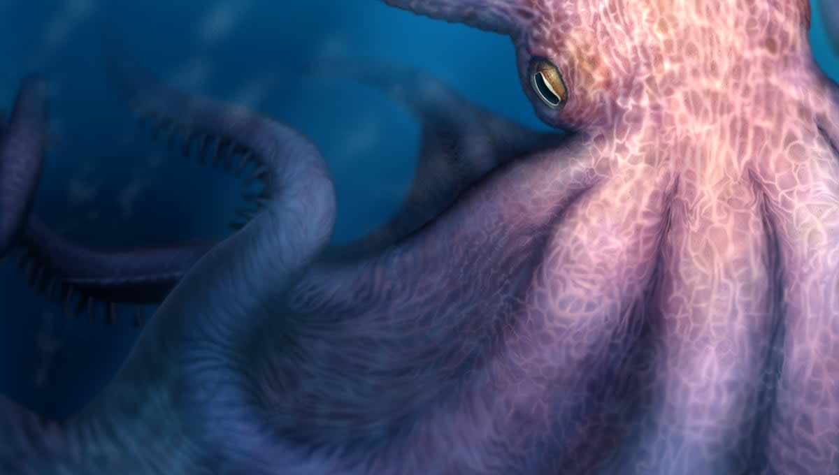 Scientists Discover 60-Foot 'Kraken' Ruled Ancient Oceans