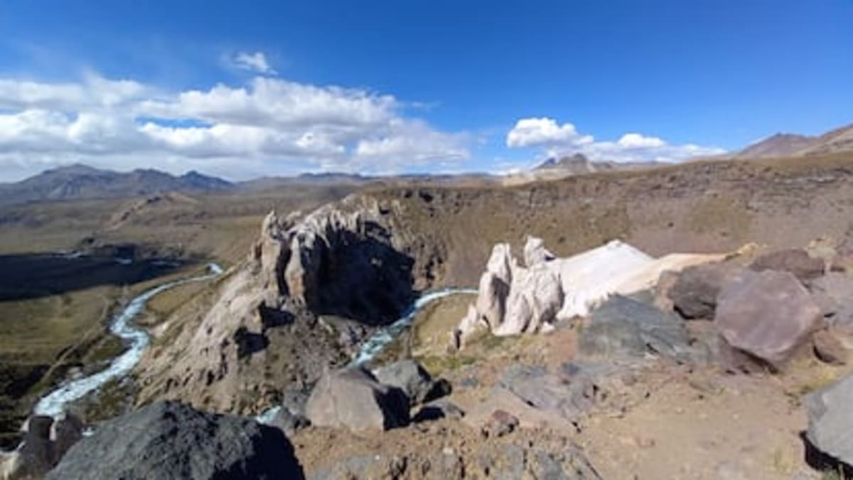 DiCaprio's Post Halts Project Threatening Chile's Rarest Frog - Image 3