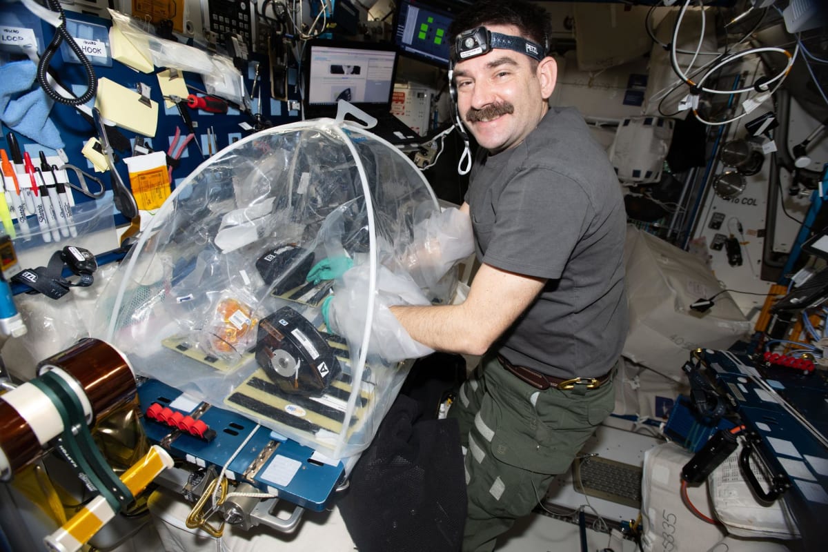 Space Station Bacteria Study Could Save Millions of Hearts - Image 2