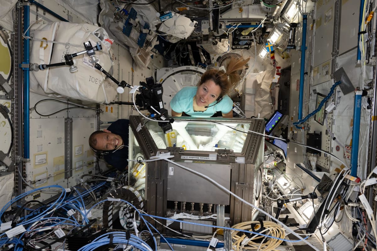 Astronaut Chris Williams Returns After 8-Month Space Mission - Image 3
