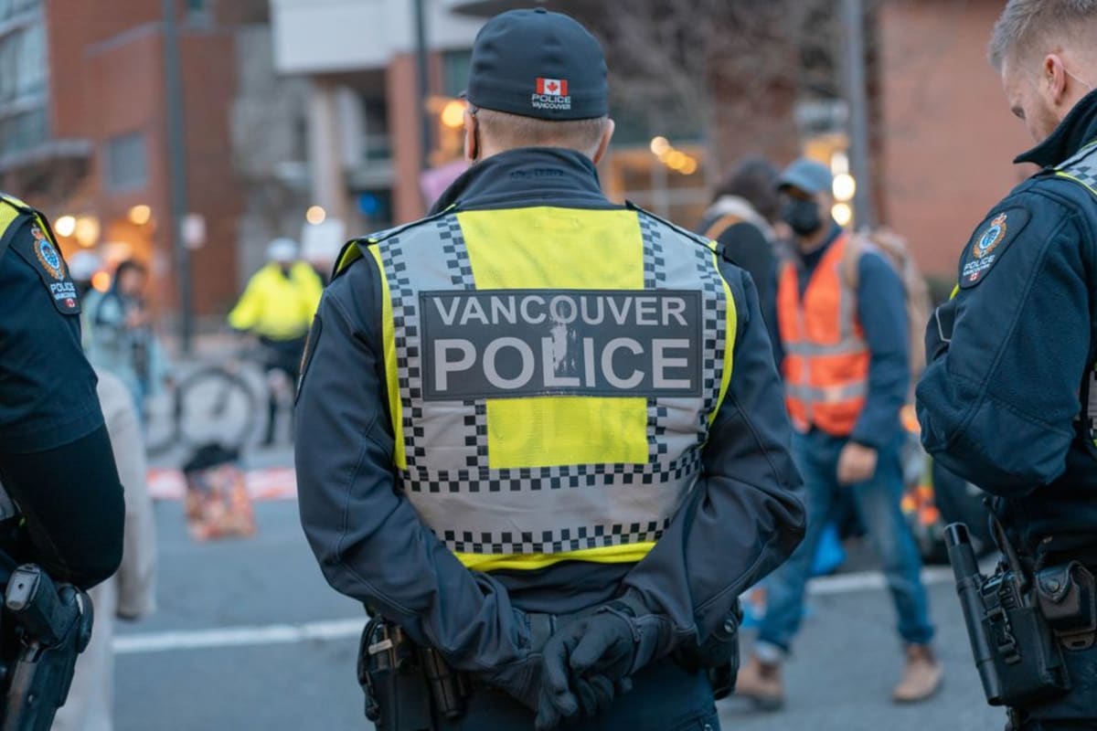 Driver Chases Down Purse Thief Who Attacked Woman With Walker - Image 2