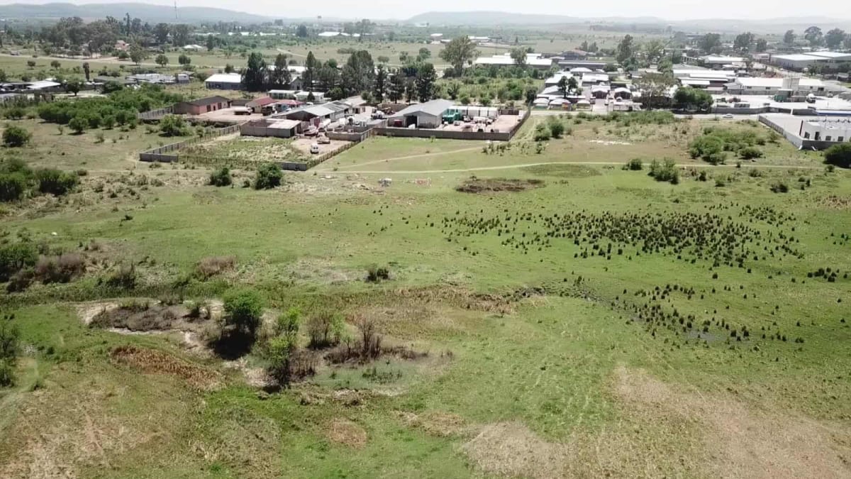 Wetland landscape along South Africa's Vaal River where wildlife rehabilitation supports farming communities