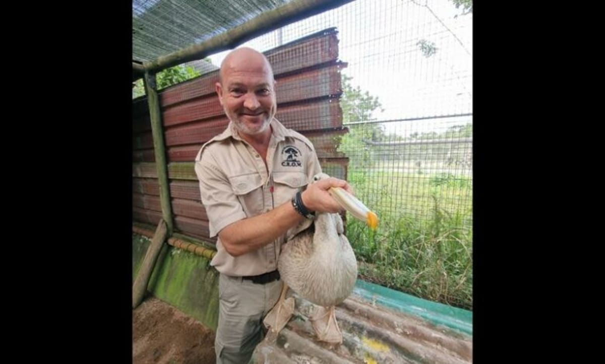 Wildlife Centre in KZN Saves 4,000 Animals Yearly - Image 2