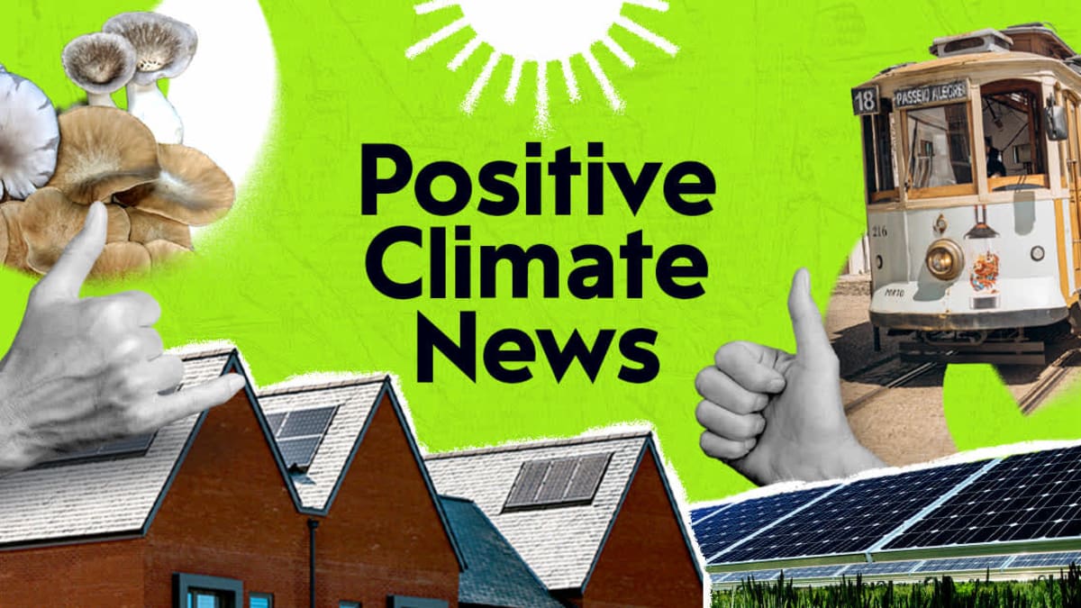 UK Solar Smashes Record, Porto Makes Transit Free