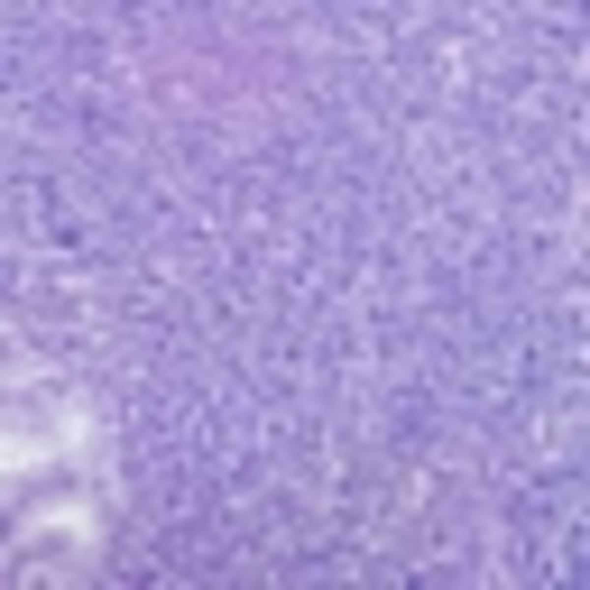 Doctors Create Survival Roadmap for CAR-T Cancer Patients - Image 2