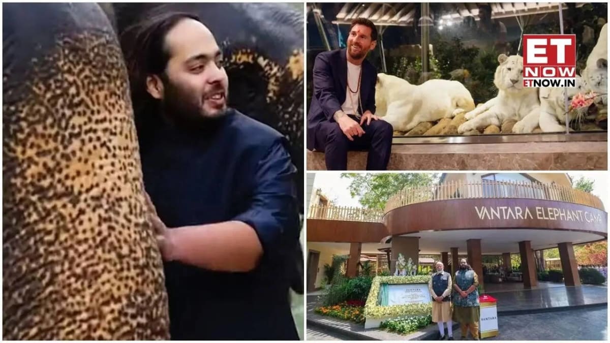 Rescued elephants receiving care at Vantara wildlife sanctuary's specialized rehabilitation facility in Gujarat, India